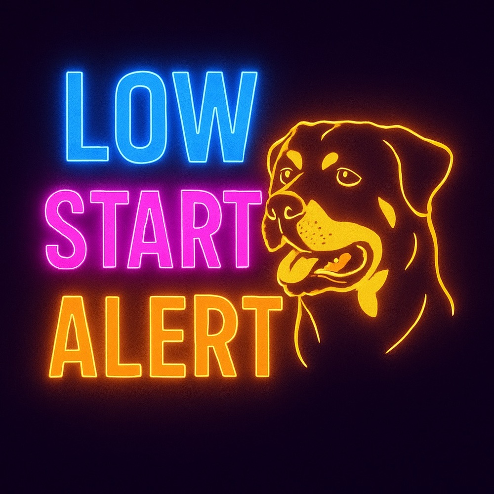 ‼️LOW START ALERT‼️
